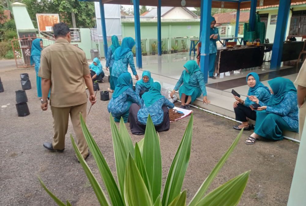 Gerakan Tanam Cabai PKK: Membangun Keterampilan dan Keberdayaan